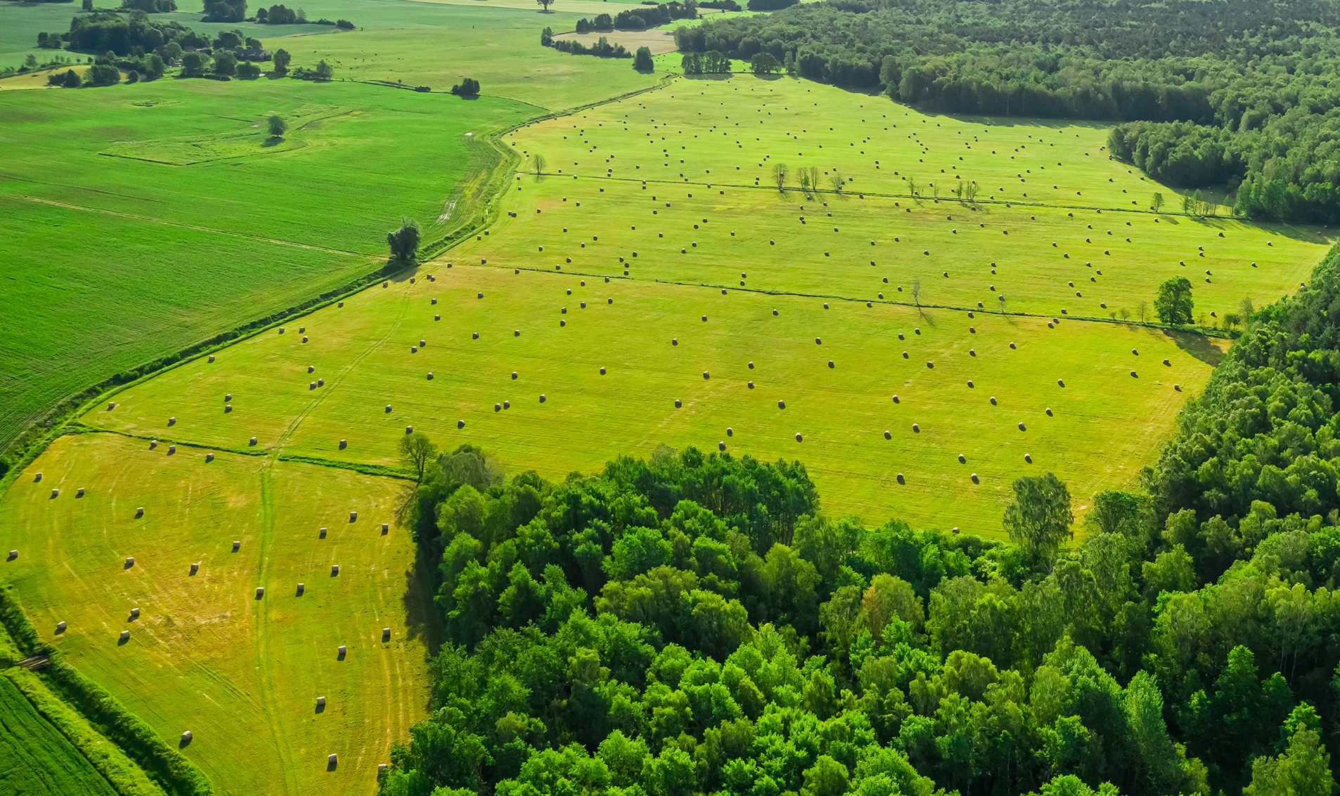 Лесная бухта